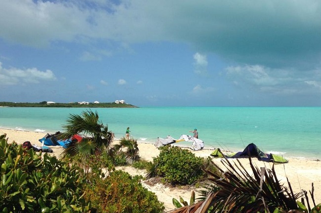 mangrove cay